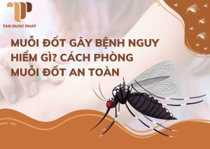 M uỗi đốt gây bệnh nguy hiểm gì? Cách phòng muỗi đốt an toàn